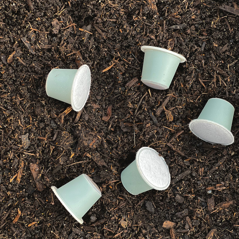 Meet our new arrival: Billy-Bob HOME Compostable Coffee Capsules